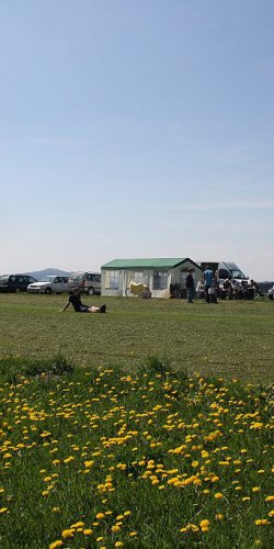 2011 Svojek